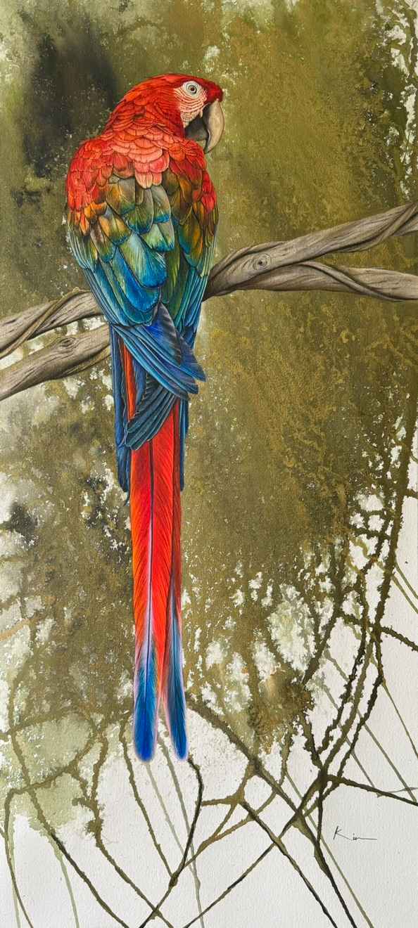 bird4