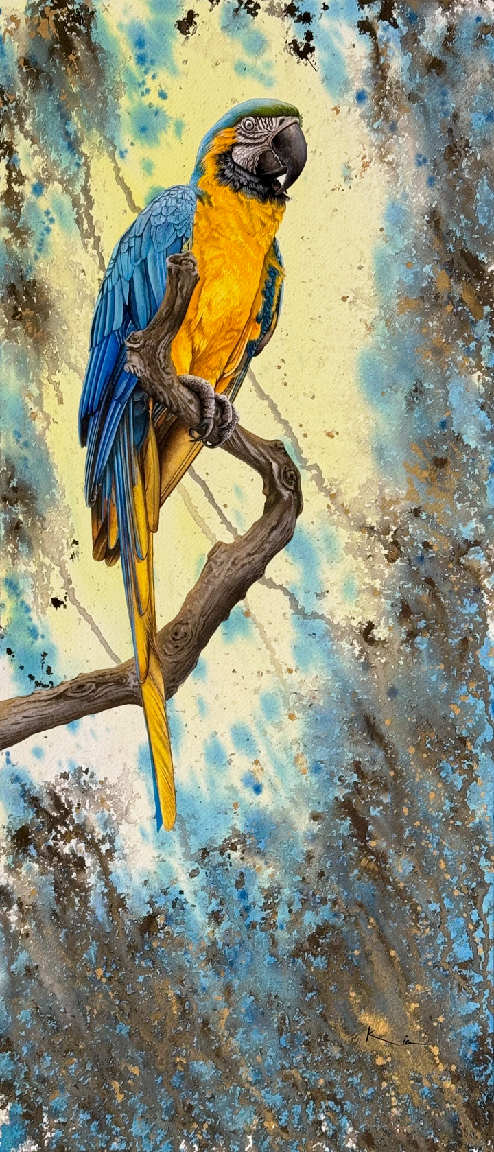 bird3